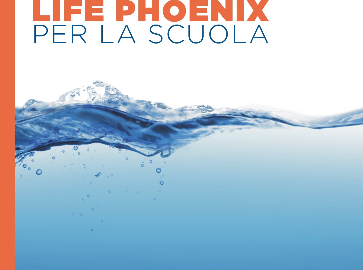 The First Two Life Phoenix For The School Seminars Took Place On October 28 And 30 The Next Two Webinars Are Scheduled For November 3 And 5 Life Phoenix