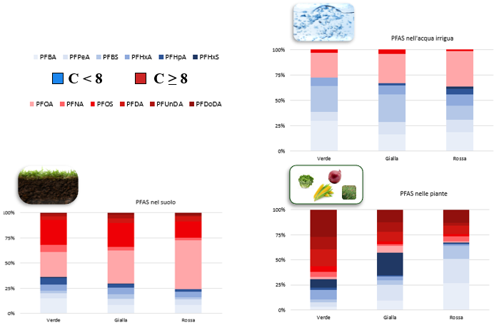 Figure 2: PFAS contamination in samples. Short- (C<8) and long-chain (C≥8) compounds are represented in shade of blue and red, respectively.